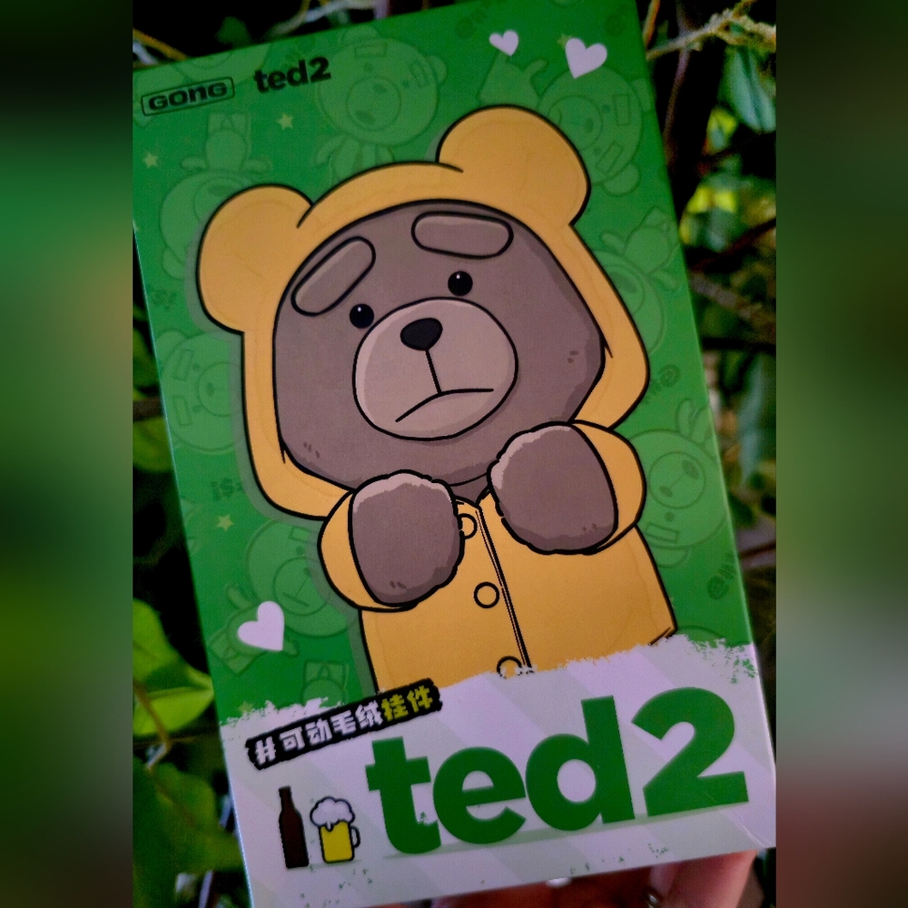 🛑SOLD🛑🆕️GENUINE POP MART TED2 BLIND BOX